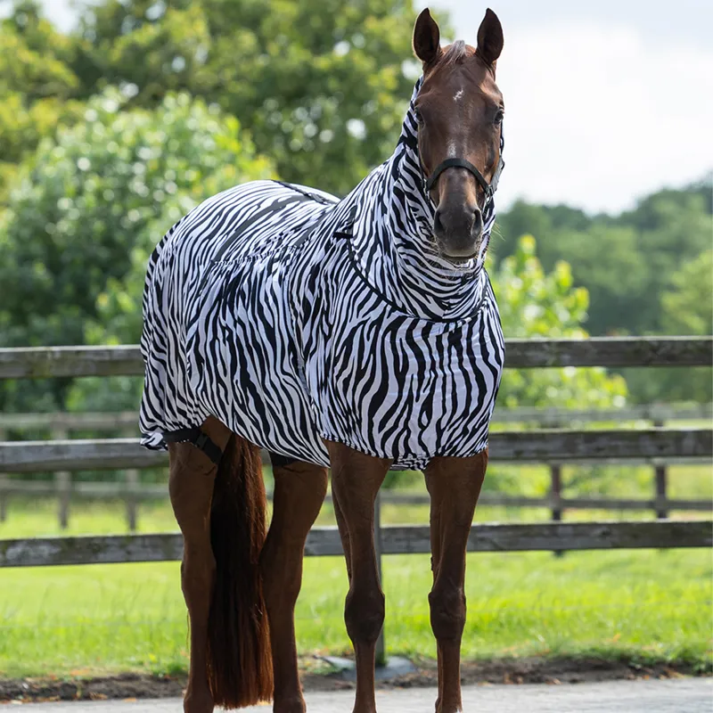 QHP Eczema Sweet-Itch Combo Neck Fly Rug - Zebra-1