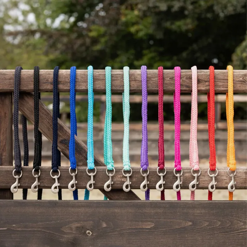 QHP Heavy Snap Clip Lead Rope - Fuchsia-1