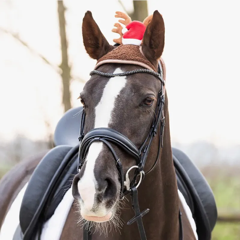 Horse hat 2025