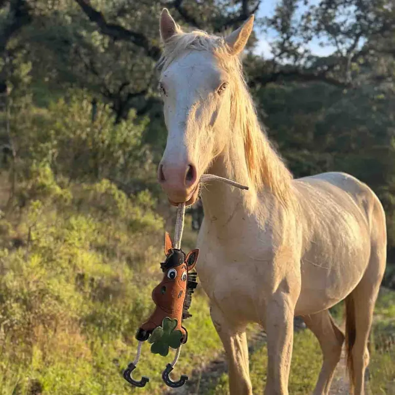 QHP Horse Toy - Good Luck-2