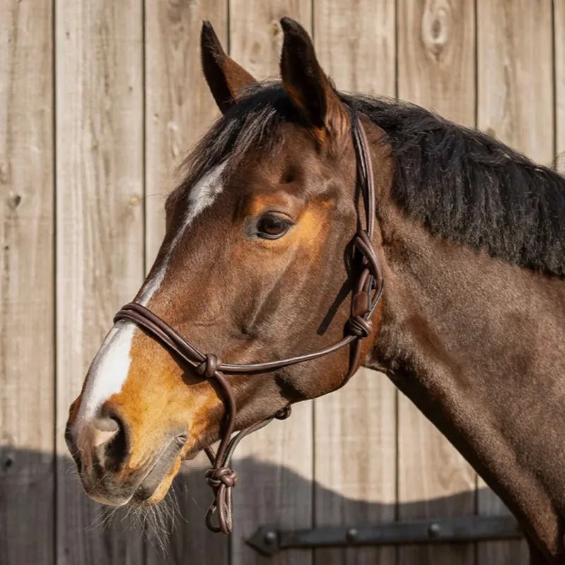 QHP Liberta Leather Rope Headcollar - Brown-1