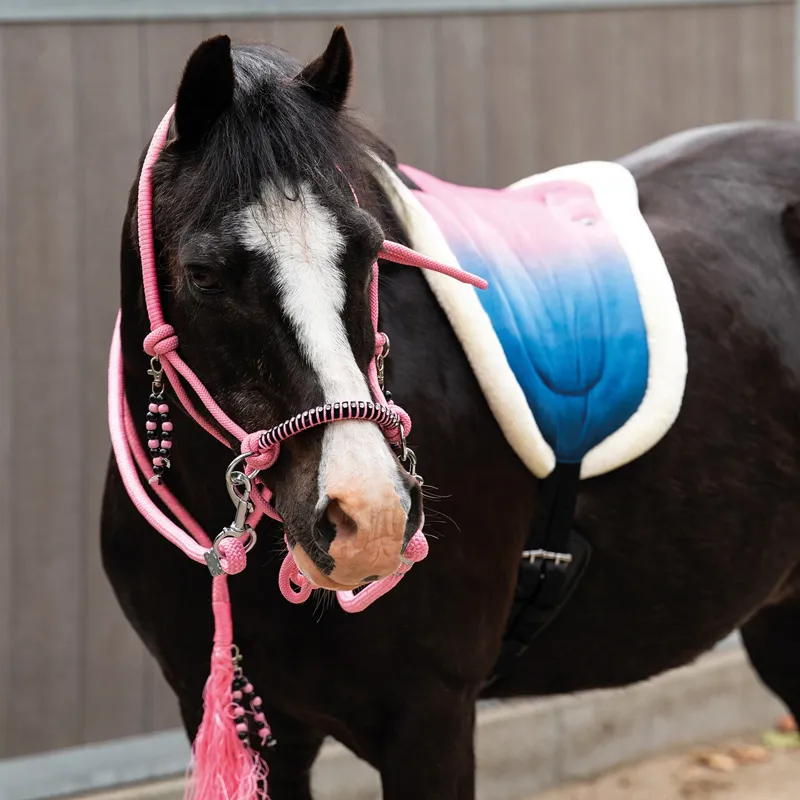 QHP Liberty Combi Rope Halter with Reins - Flamingo-1