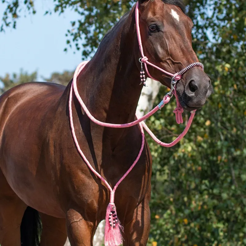 QHP Liberty Combi Rope Halter with Reins - Flamingo-3