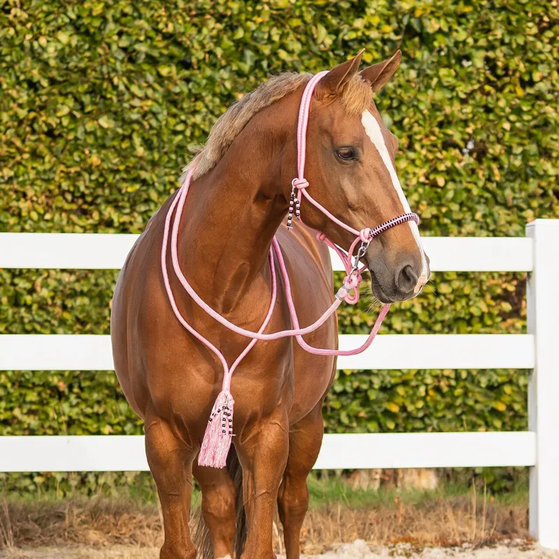 QHP Liberty Combi Rope Halter with Reins - Flamingo-1
