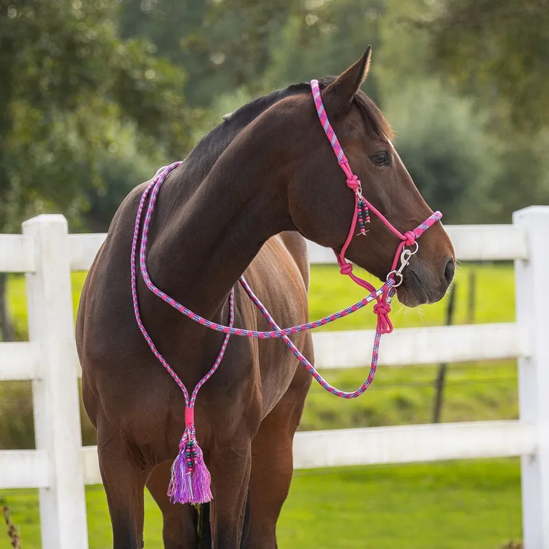 QHP Liberty Combi Rope Halter with Reins - Fuchsia-5