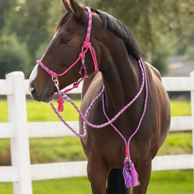 QHP Liberty Combi Rope Halter with Reins - Fuchsia-6