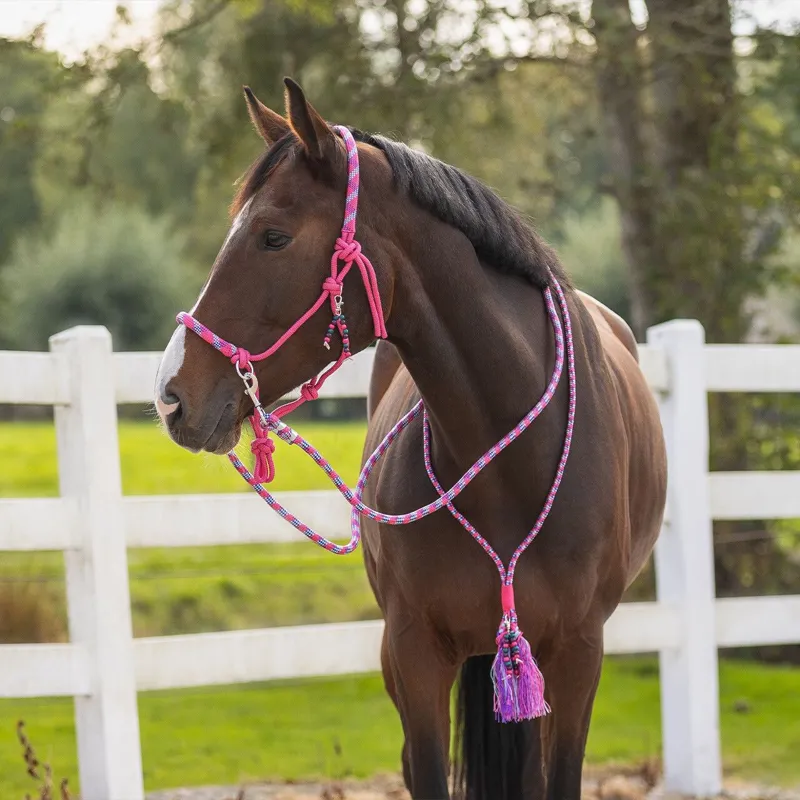 QHP Liberty Combi Rope Halter with Reins - Fuchsia-4