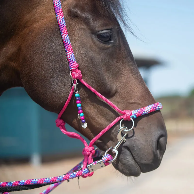 QHP Liberty Combi Rope Halter with Reins - Fuchsia-1