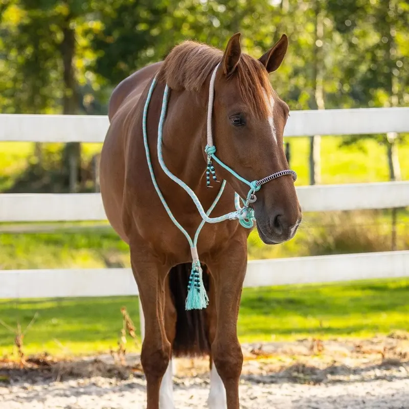 QHP Liberty Combi Rope Halter with Reins - Ice Green-2