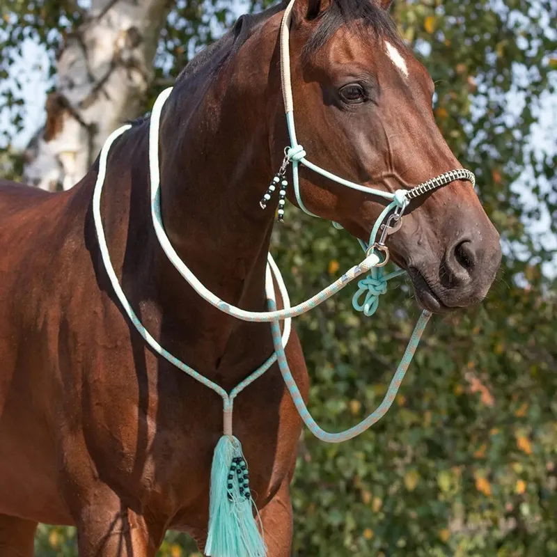QHP Liberty Combi Rope Halter with Reins - Ice Green-3