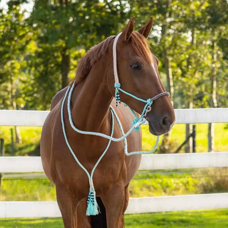QHP Liberty Combi Rope Halter with Reins - Ice Green-1