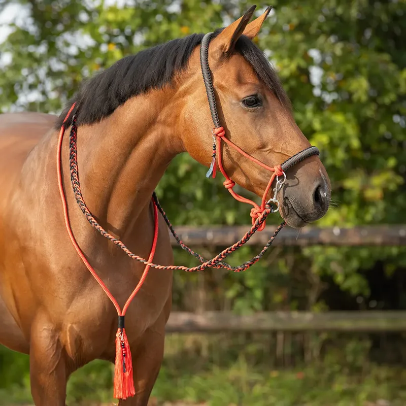 QHP Liberty Combi Rope Halter with Reins - Red