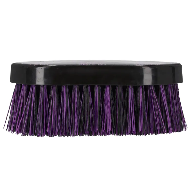 QHP Lize Dandy Brush - Black/Violet