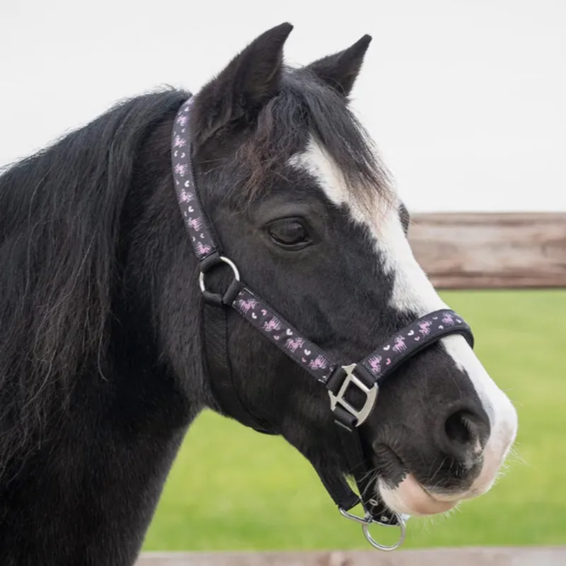 QHP Lize Headcollar - Black/Violet-1