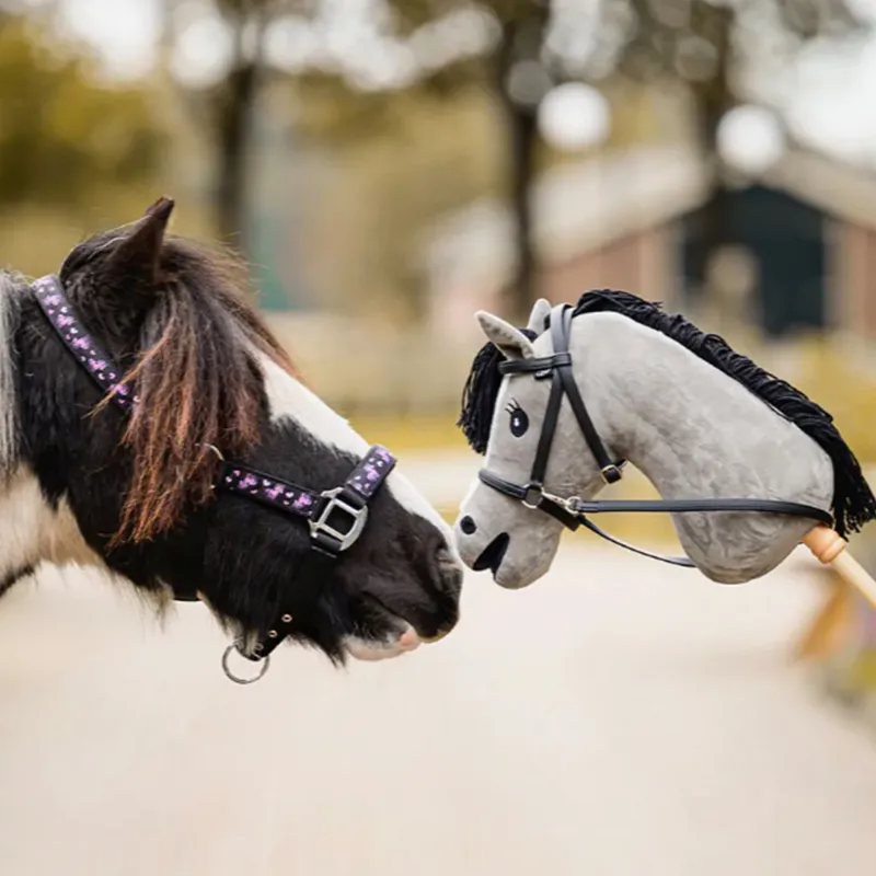 QHP Lize Headcollar - Black/Violet-2
