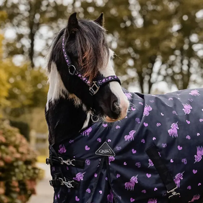 QHP Lize Headcollar - Black/Violet-4