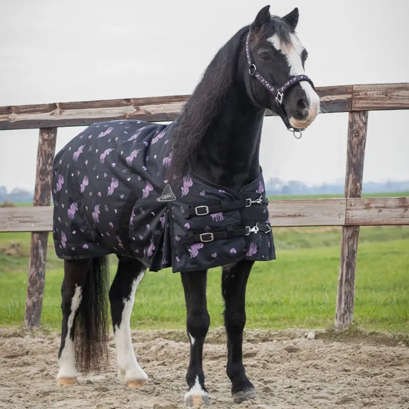 QHP Lize 100g Turnout Rug - Black/Violet-1