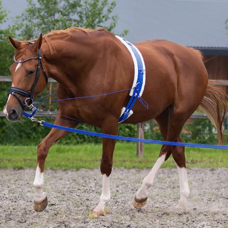 QHP Lunge Attachment - Cobalt-1