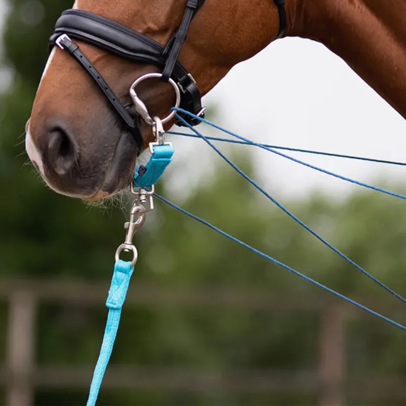 QHP Lunge Attachment - Sky-1