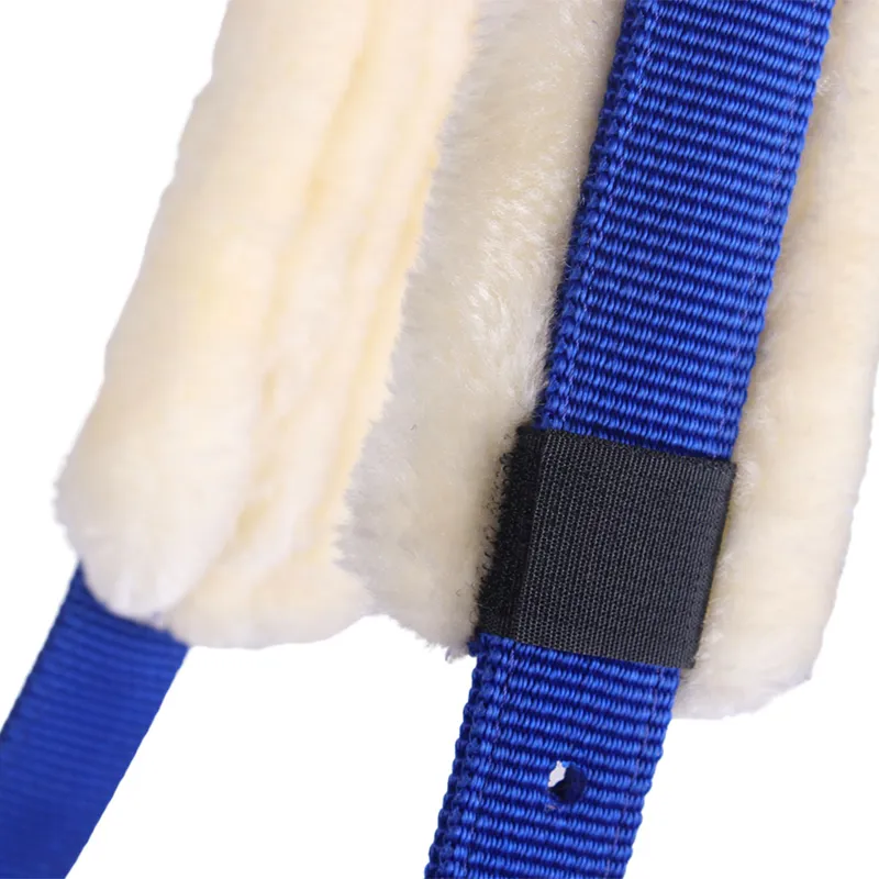 QHP Fleece Lined Lunge Cavesson - Cobalt Blue-3