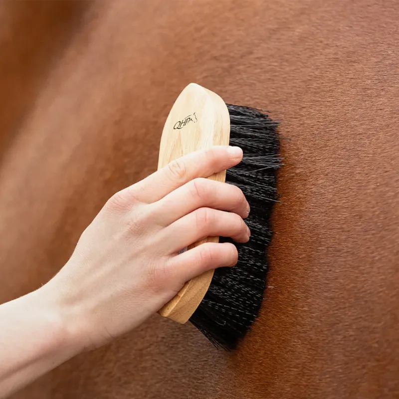 QHP Magnet Dandy Brush - Black-4