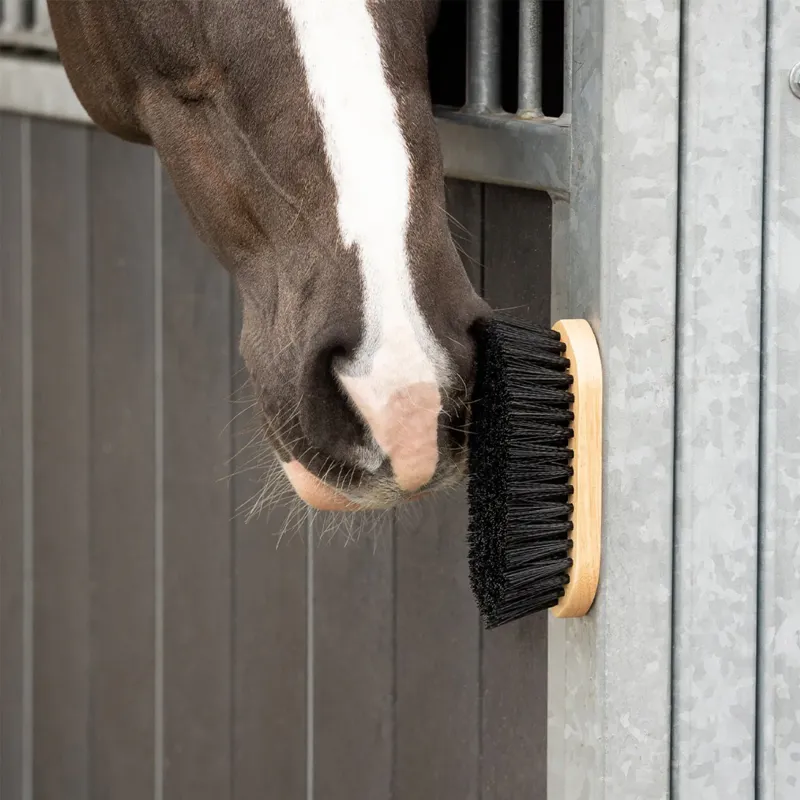 QHP Magnet Dandy Brush - Black-1