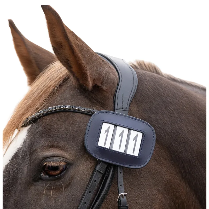 QHP Modeste Square Number Holder - Navy-1
