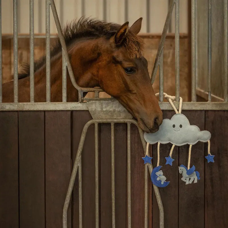 QHP Novy Horse Stable Toy - Blue-1