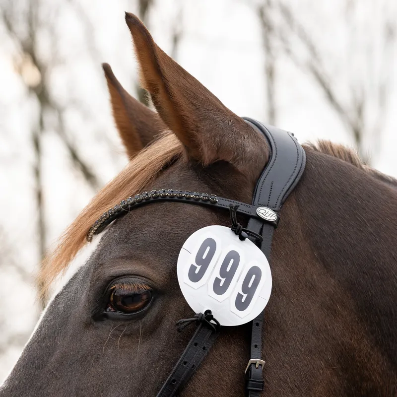 QHP Prim Elasric Number Holders - 2-Pack - White-2