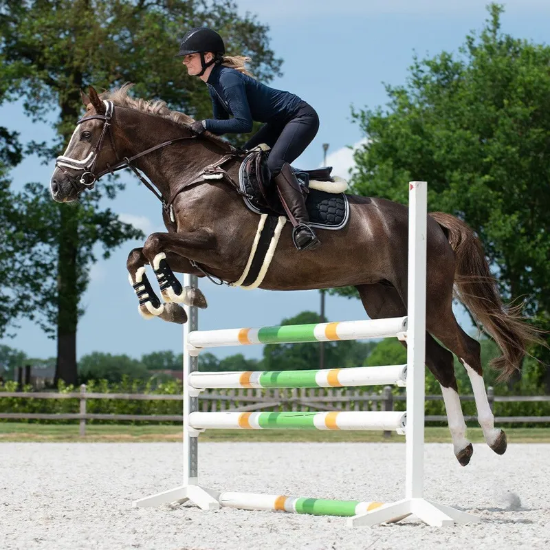 QHP Ontario All Purpose Girth - Black-2