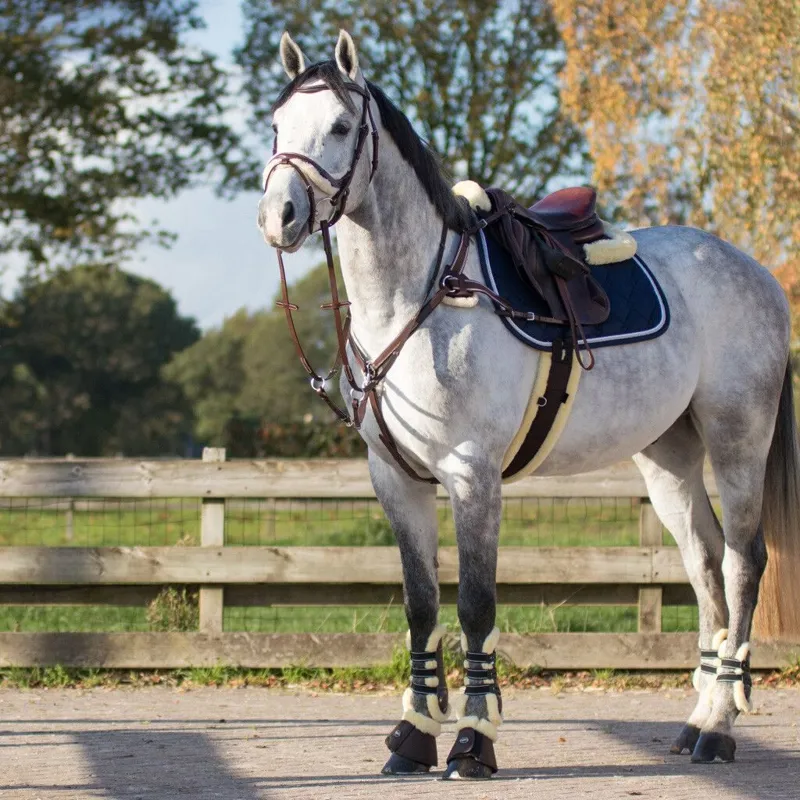 QHP Ontario All Purpose Girth - Brown-2