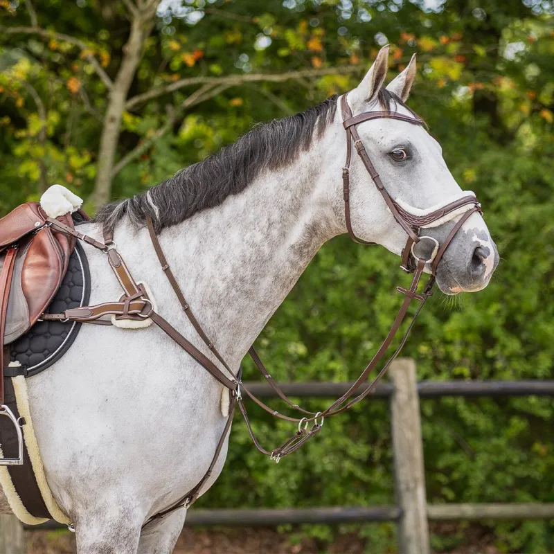 QHP Ontario Breastplate - Brown-2