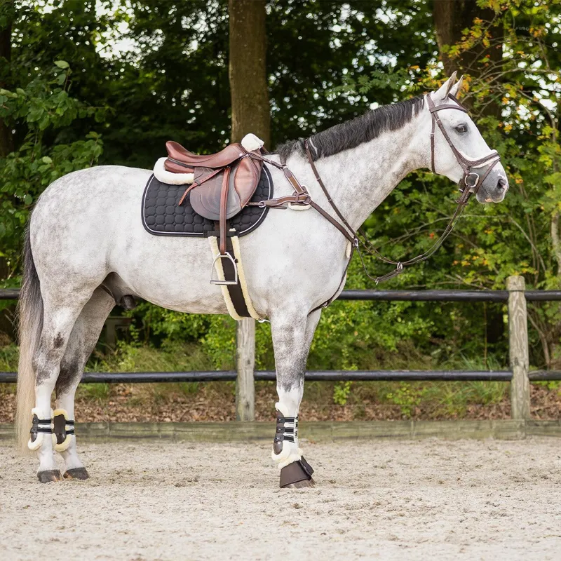 QHP Ontario Breastplate - Brown-3