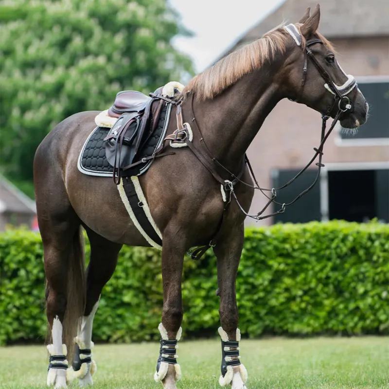QHP Ontario Breastplate - Brown-1