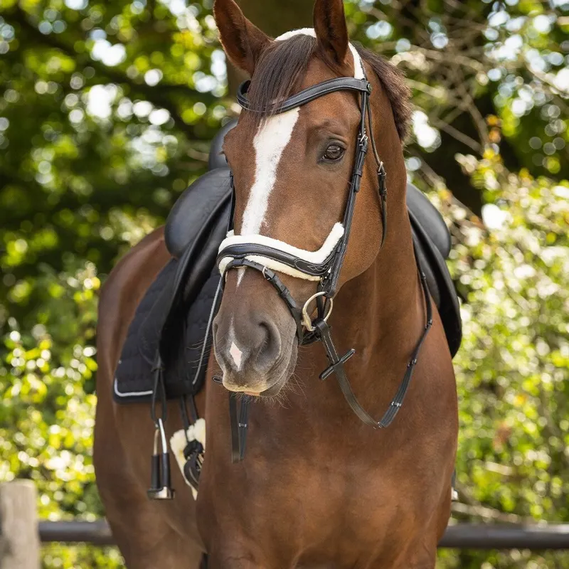 QHP Ontario Bridle with Reins - Black-4