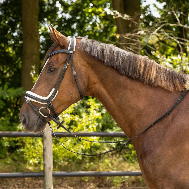 QHP Ontario Bridle with Reins - Black-3