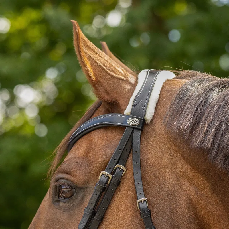 QHP Ontario Bridle with Reins - Black-7