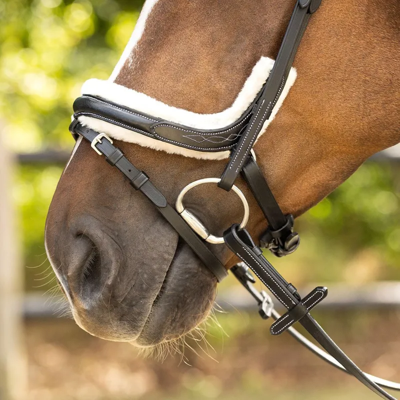 QHP Ontario Bridle with Reins - Black-6
