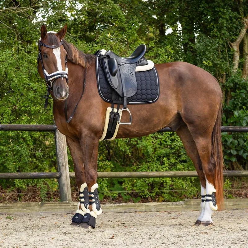 QHP Ontario Bridle with Reins - Black-8