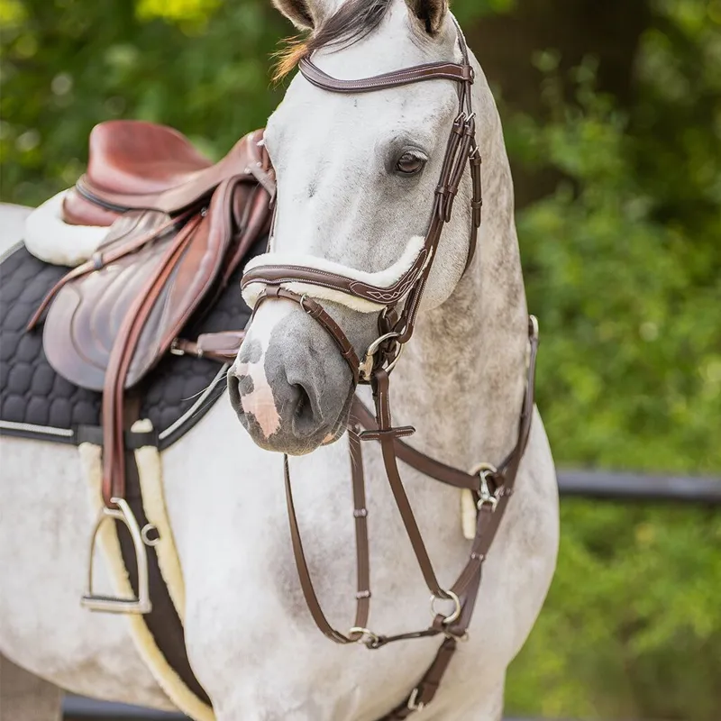 QHP Ontario Bridle with Reins - Brown-10