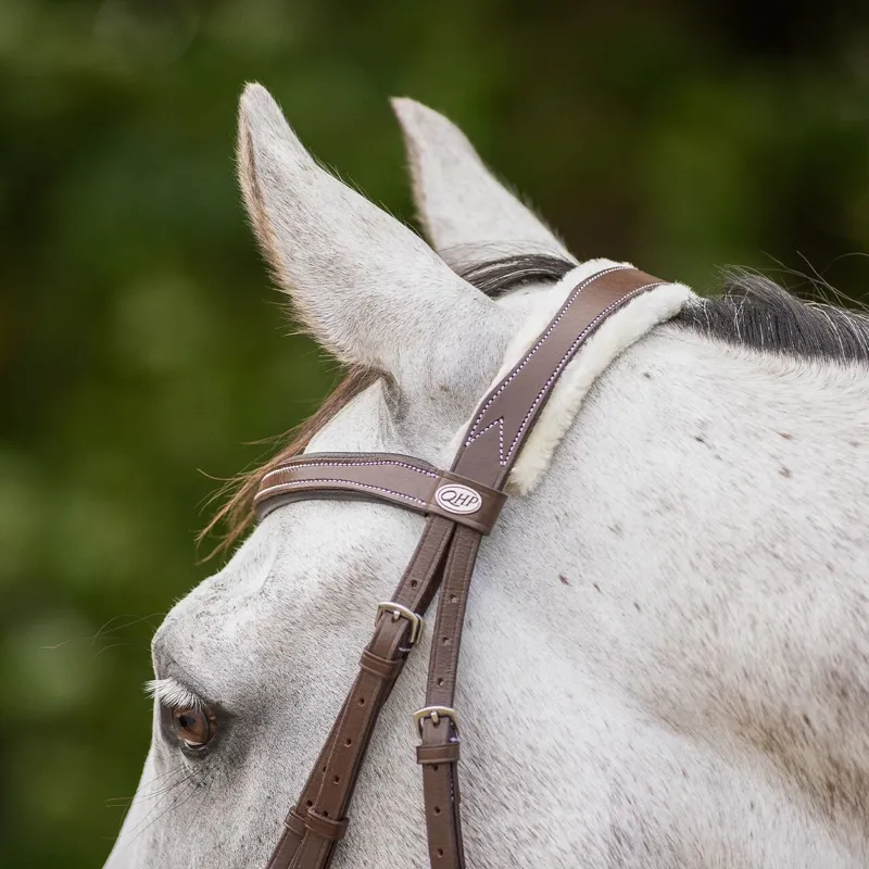 QHP Ontario Bridle with Reins - Brown-3