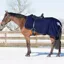 QHP Ornament Fleece Exercise Rug - Blue/Silver