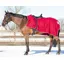 QHP Ornament Fleece Exercise Rug - Burgundy/Slver
