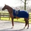 QHP Ornament Fleece Exercise Rug - Blue/Silver