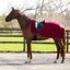 QHP Ornament Fleece Exercise Rug - Burgundy/Silver