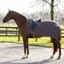 QHP Ornament Fleece Exercise Rug - Grey/Silver