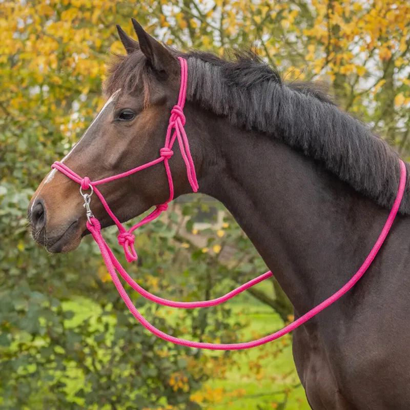 QHP Colour Rope Headcollar with Reins - Fuchsia-2