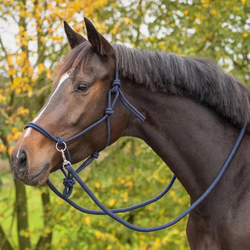 QHP Colour Rope Headcollar with Reins - Navy-2