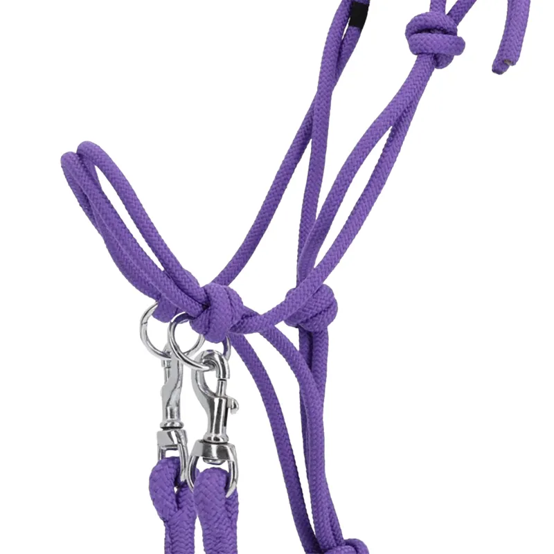 QHP Colour Rope Headcollar with Reins - Passion Flower-1