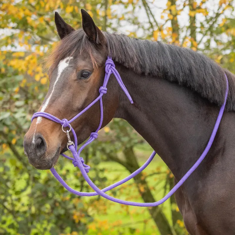 QHP Colour Rope Headcollar with Reins - Passion Flower-2